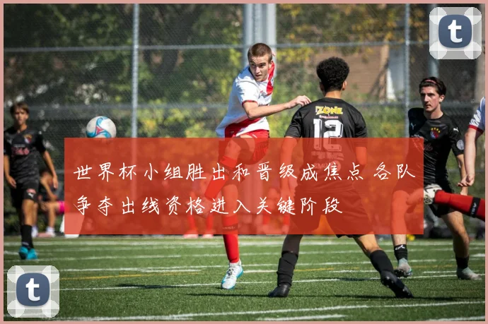 世界杯小组胜出和晋级成焦点 各队争夺出线资格进入关键阶段