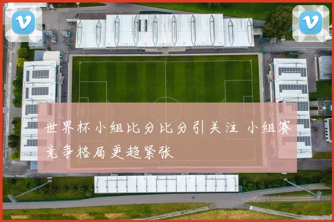 世界杯小组比分比分引关注 小组赛竞争格局更趋紧张