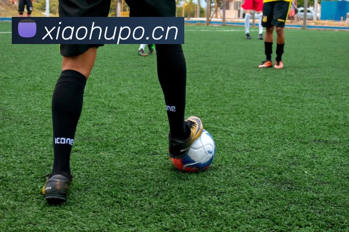 mksports在线登录入口全站App